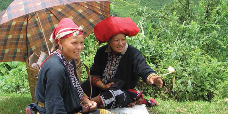 Ladies from hill tribe in Vietnam