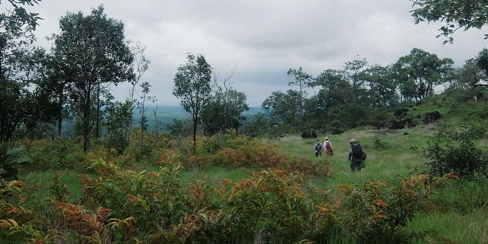 Hikers in Virachey National Park in Cambodia