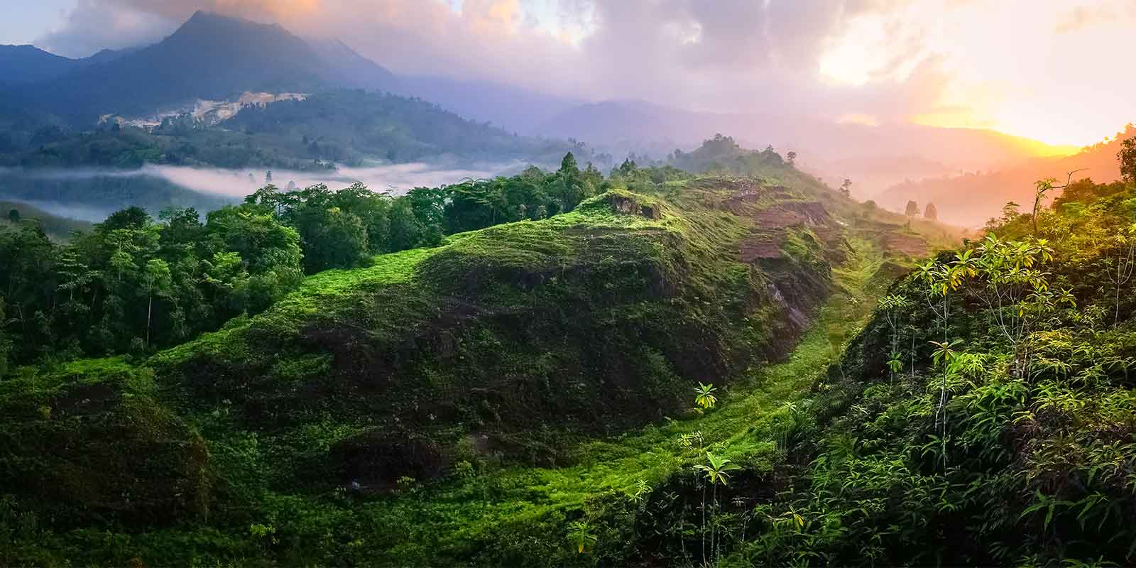 Mountain and rainforest scenery in northern Thailand