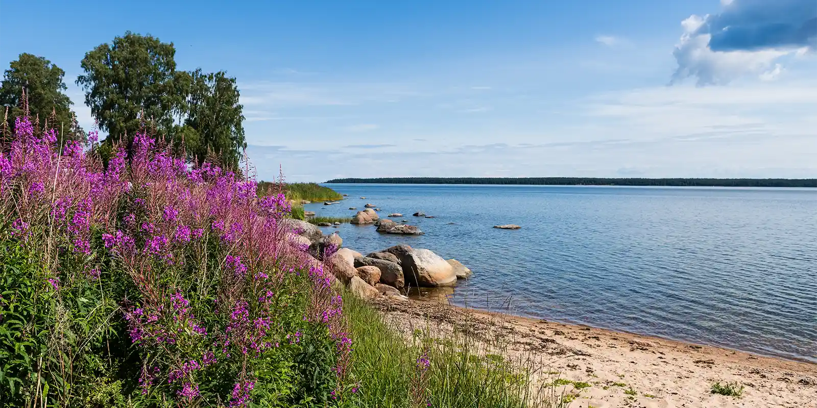 Lahemaa National Park in Estonia