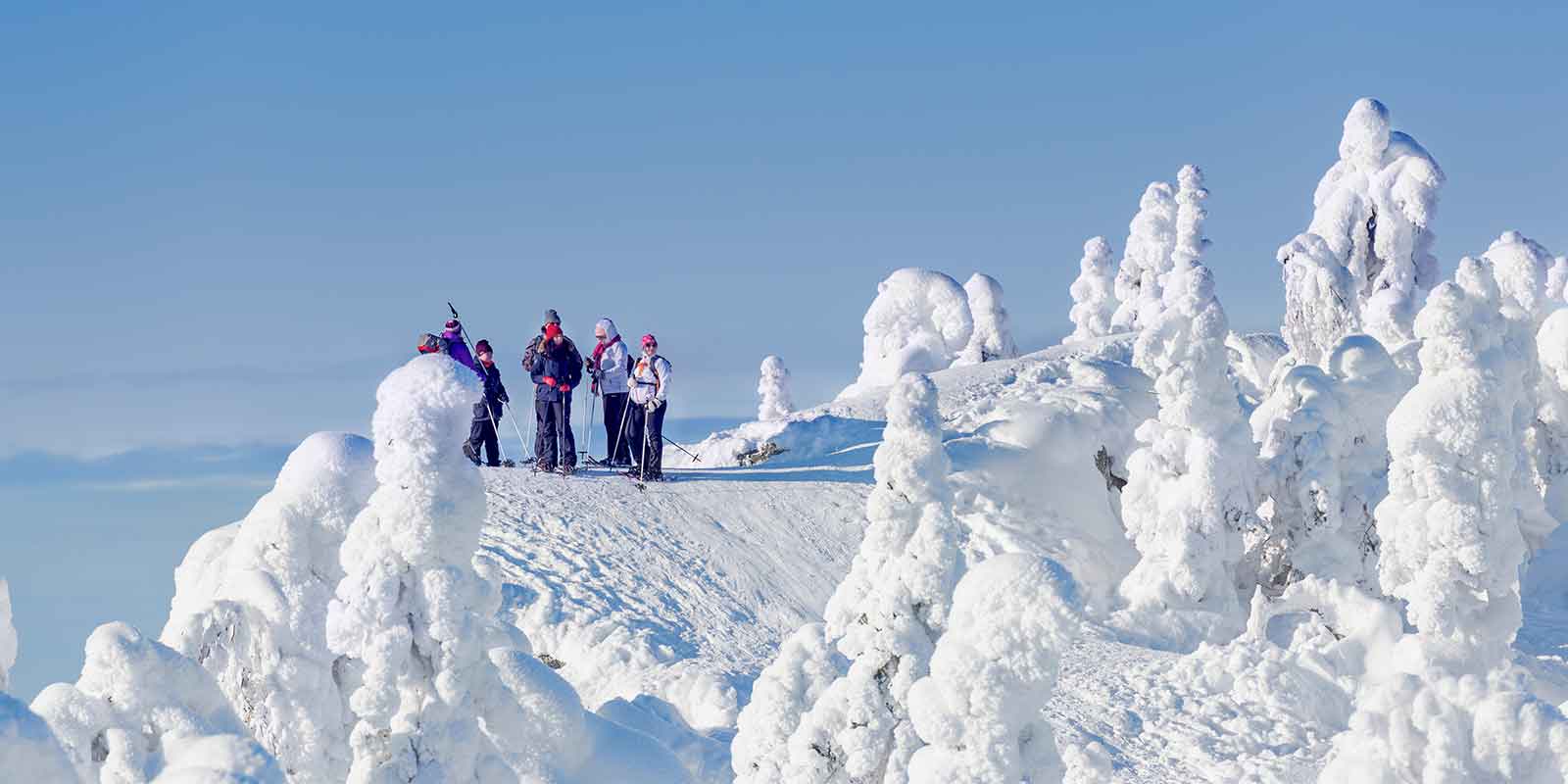 Cross-country skiiers in Koli National Park in Finland