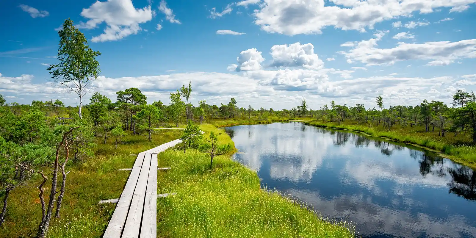 Kemeri Boy National Park in Latvia