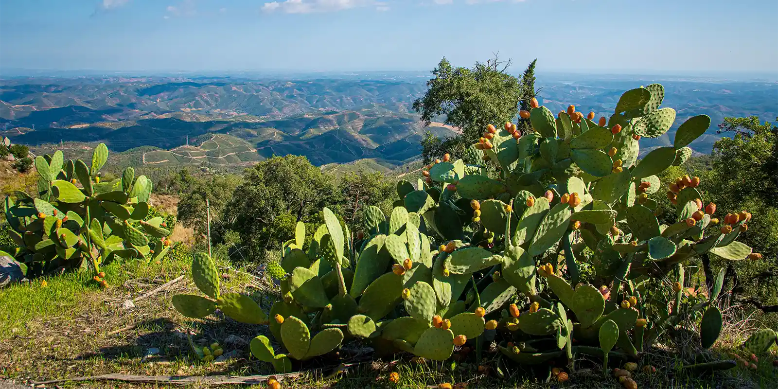 Serra de Monchique in Portugal