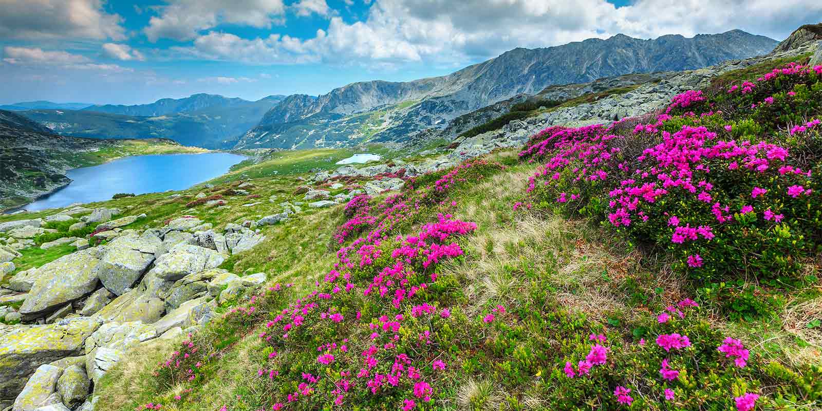 Alpine glacial lake in the Carpathian mountains in Romania