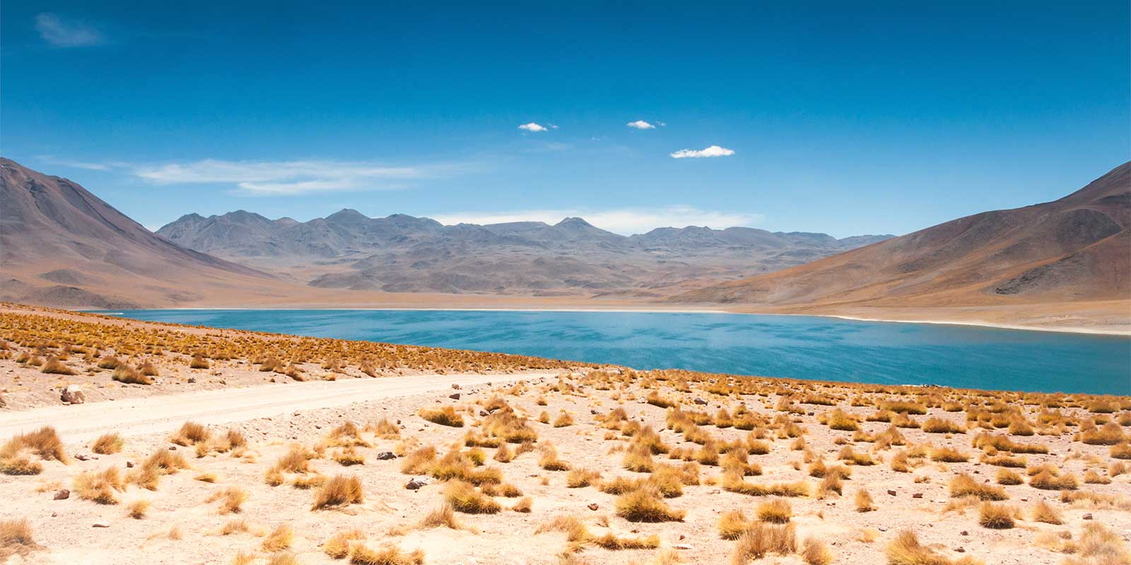Miscanti Lagoon in San Pedro de Atacama, Chile