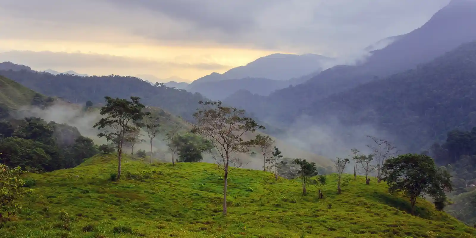 Landscape of the Sierra Nevada de Santa Marta mountains.