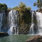 Lily waterfall in Madagascar.