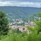 View overlooking Ribeauville, France.