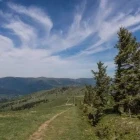 Landscape from Petit Ballon, Alsace, France.