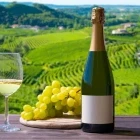 Wine in the Prosecco Hills, Italy