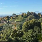 Landscape of the Prosecco Hills, Italy