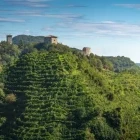 The Prosecco Hills, Italy