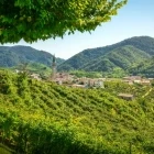 View of Guia, in the Prosecco Hills, Italy