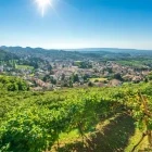View of Valdobbiadene Village and vineyards, Italy