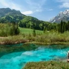 Zelenci Lake near Kranjska Gora, Slovenia.