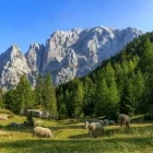 View of the Vrsic Pass in Slovenia.