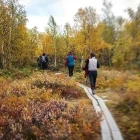 Abisko National Park in Sweden