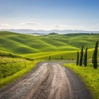 The Via Francigena near Siena.