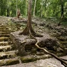 Ancient ruins in the jungle, Guatemala.