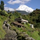 Trekkers in the Annapurna region Himalayas Nepal
