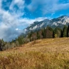 View from Col de la Charmette, France.