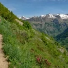 Hiker walking in the French Alps.