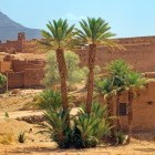 Traditional Berber village in Morocco