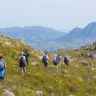 Group trekking at Klein Drakenstein Mountains