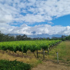 Hikers walking from Hermon to RK in South Africa