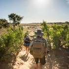 Walking safari in Kruger National Park, South Africa