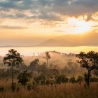 Sunrise in Kruger National Park, South Africa