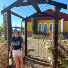 Chaperone in the Winelands, South Africa