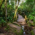 Wooden trail through path to God's Window in Blyde River Canyon, South Africa