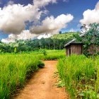 Hiking trail and countryside at Bunung Village in Cambodia