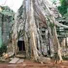 Ta Promh Temple in Angkor Wat Complex, Siem Reap, Cambodia