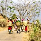 Tea pickers in Darjeeling, India