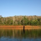 Periyar National Park in India