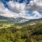 Scenery of Munnar Valley, Kerala, India