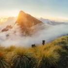 Sunrise over the peak of Meesapulimala, India