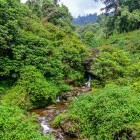 Stream through Rimbik in India