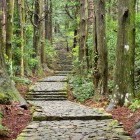 Kumano Kodo Trail, Japan