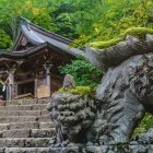 Stone guardian dog near Togakushi Shrine