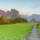 Rice fields near Vang Vieng Laos 