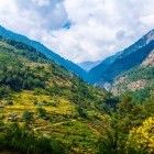 Trek from Nayapul to Ulleri in Nepal