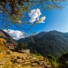 Trek to Ghorepani in Nepal