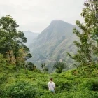Girl looking out to tea plantation in Ella, Sri Lanka