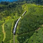 Aerial of train to Ella in Sri Lanka