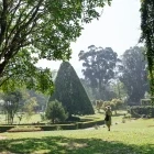 Royal Botanical Gardens in Kandy, Sri Lanka