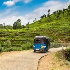 Tuk-tuk at a tea plantation in Nuwara Eliya, Sri Lanka