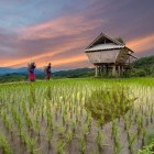 Hill tribe in Chiang Mai, Thailand
